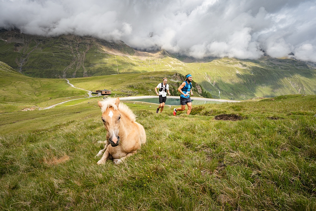 Trailrunner an einem Bergsee mit einem Pferd im Vordergrund bei Gurgl